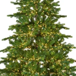 Albero di Natale artificiale luminoso 3000 LED (H180 cm) Caucasia Nordmann Verde abete