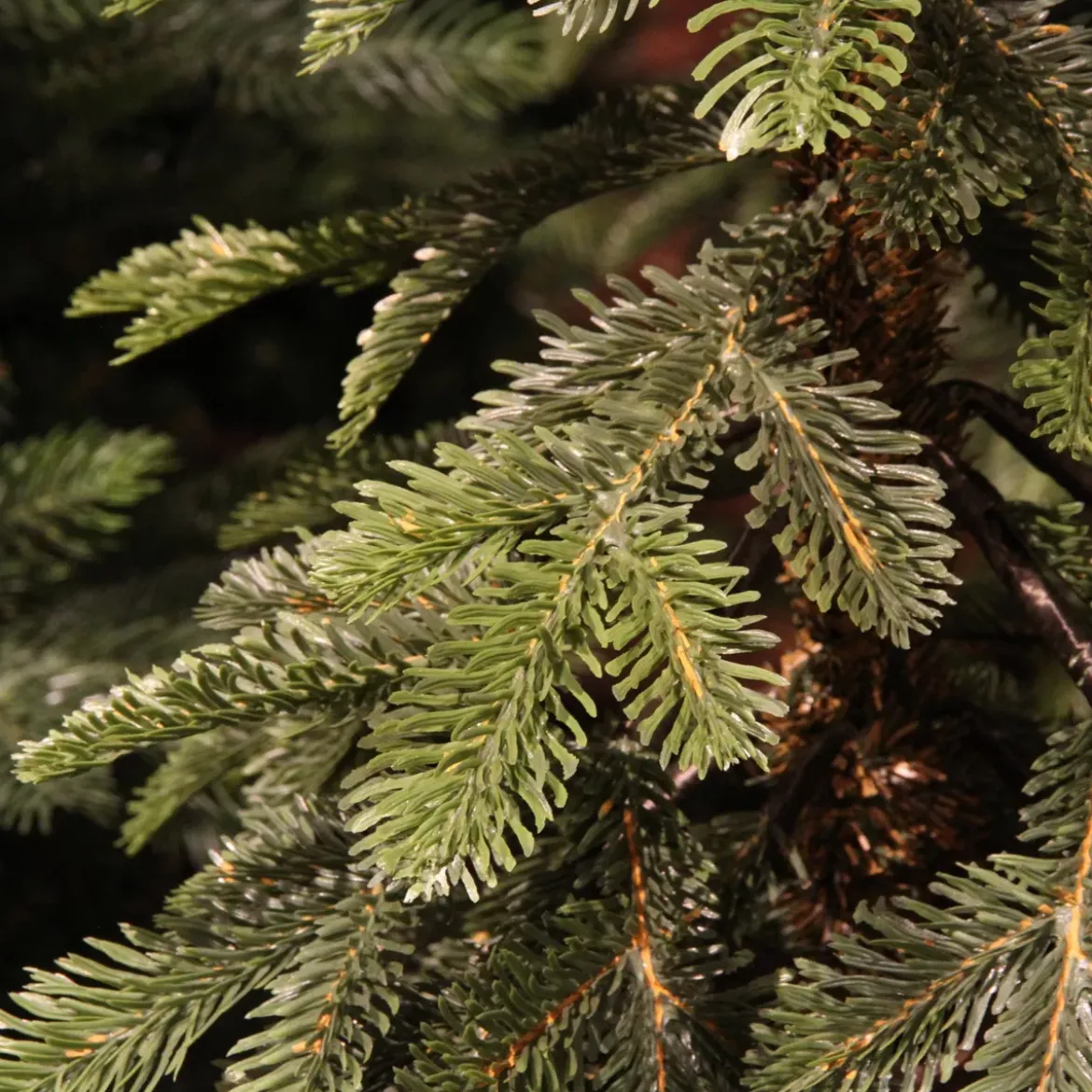 Albero di Natale artificiale (H300 cm) Sierra Verde