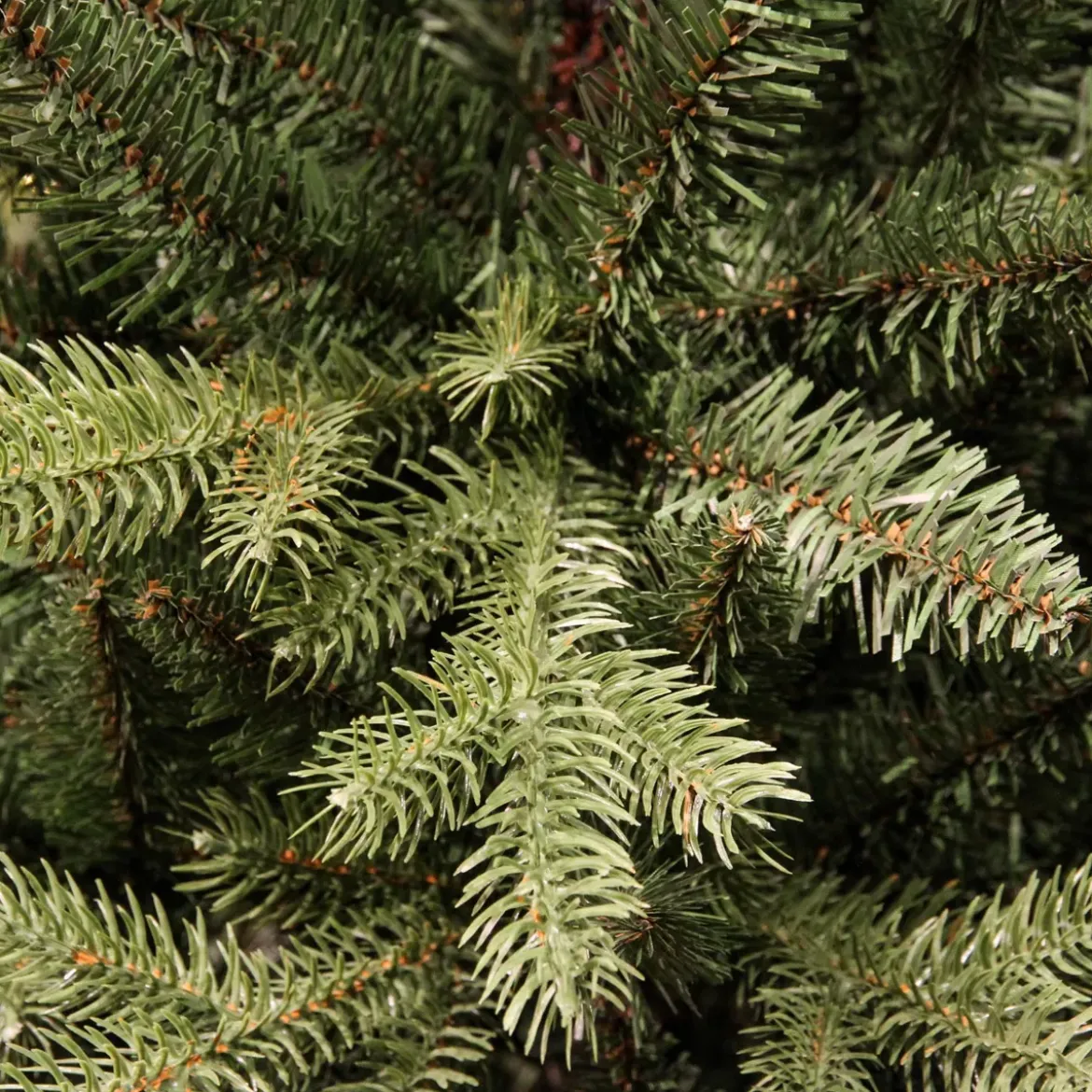Albero di Natale artificiale Allix Alt. 300 cm Verde abete