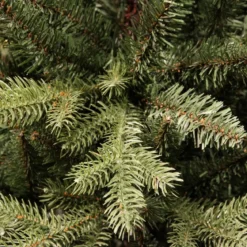 Albero di Natale artificiale Allix Alt. 150 cm Verde abete