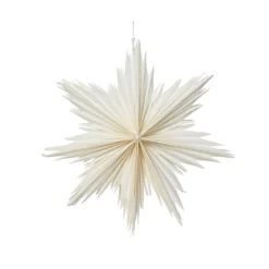 Decorazione natalizia sospesa in carta (D30 cm) Stella ghiacciata Bianca