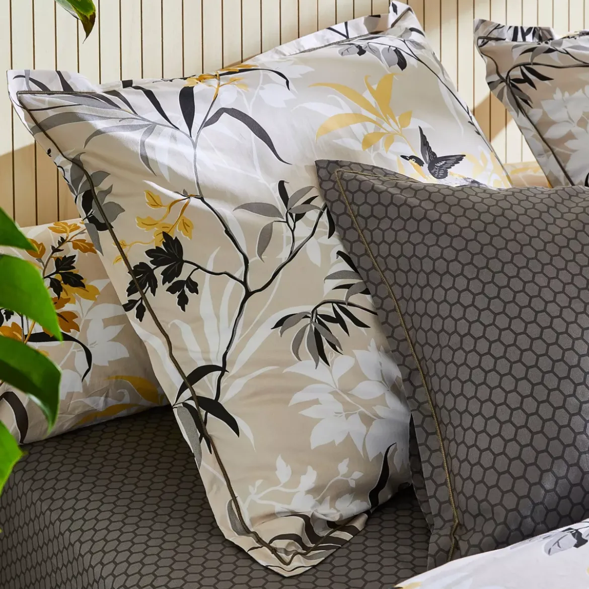 Federa cuscino letto quadrata in percalle di cotone (65 x 65 cm) Asia Beige