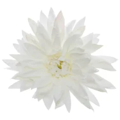 Fiore decorativo su clip (D15 cm) Dahlia Bianco glitterato