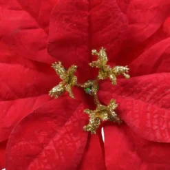 Fiore di Natale Noelie a clips Rosso