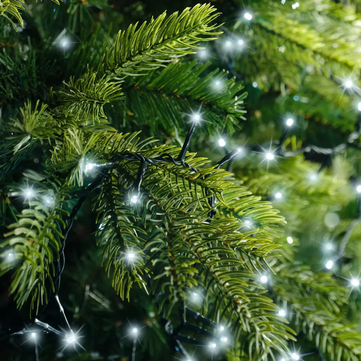 Ghirlanda luminosa Lusso 11 m Bianco freddo 500 LED CV