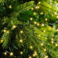Ghirlanda luminosa 22,50 m 1000 LED cavo verde Luxe Bianco caldo Champagne