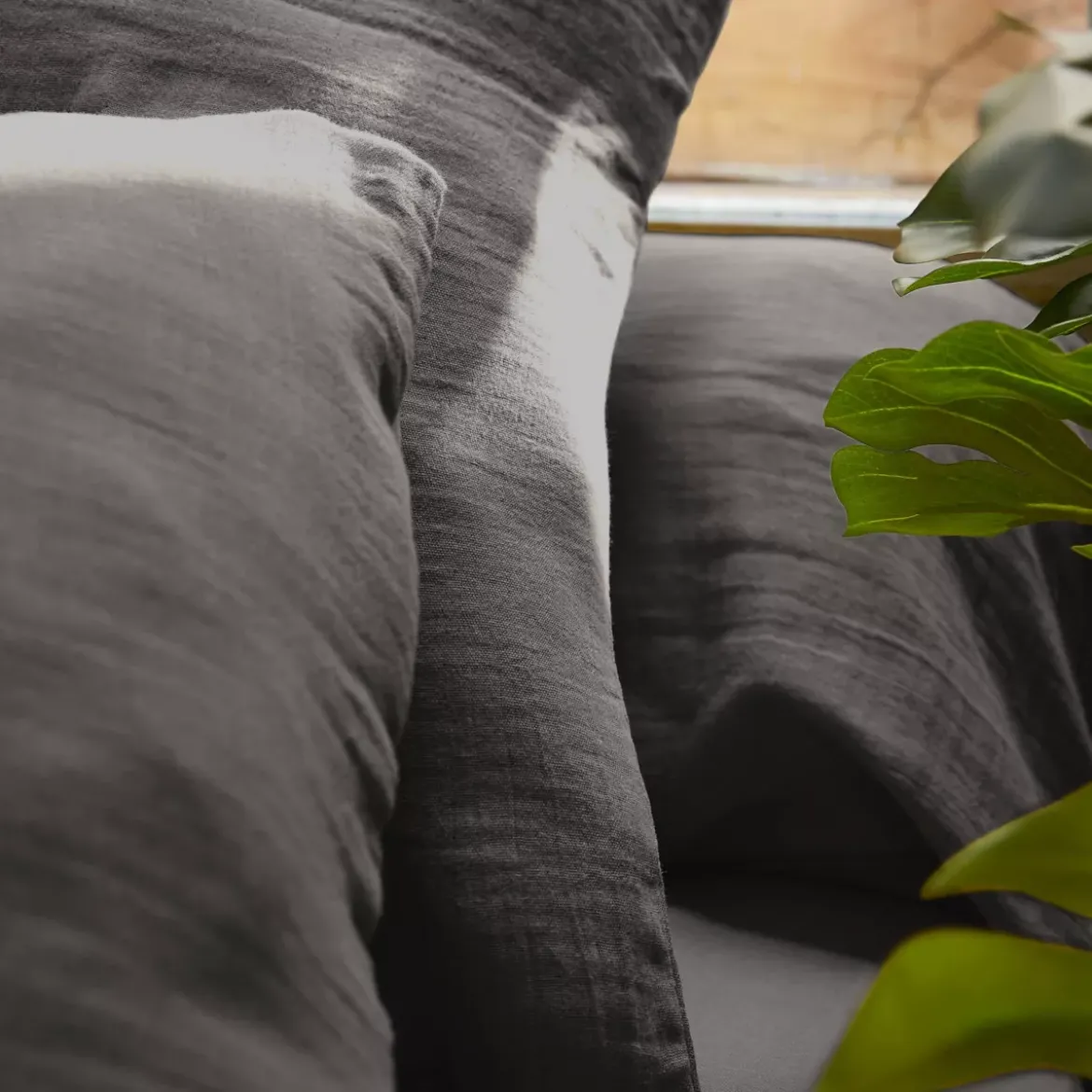 Lenzuolo con angoli garza di cotone (200 x 200 cm) Gaïa Grigio granito
