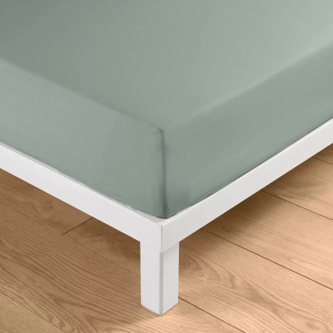 Lenzuolo con angoli in cotone lavato (160 x 200 cm) Linella Verde salvia