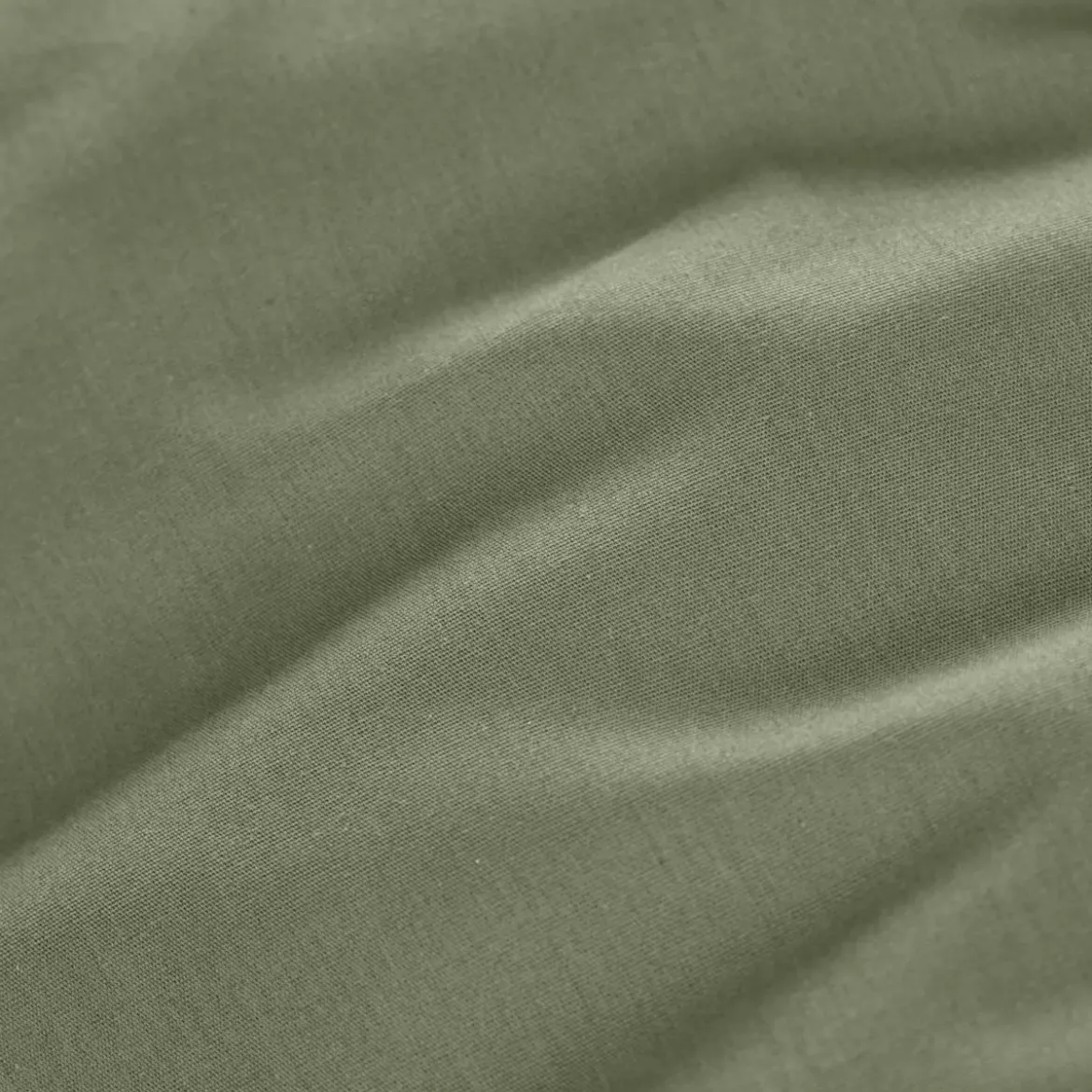 Lenzuolo con angoli percalle di cotone (160 cm) Cali Verde rosmarino