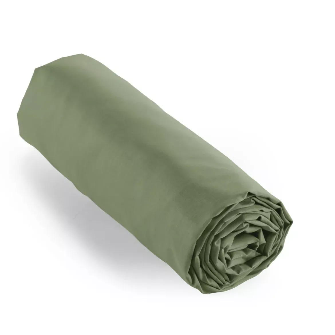 Lenzuolo con angoli percalle di cotone (160 cm) Cali Verde rosmarino