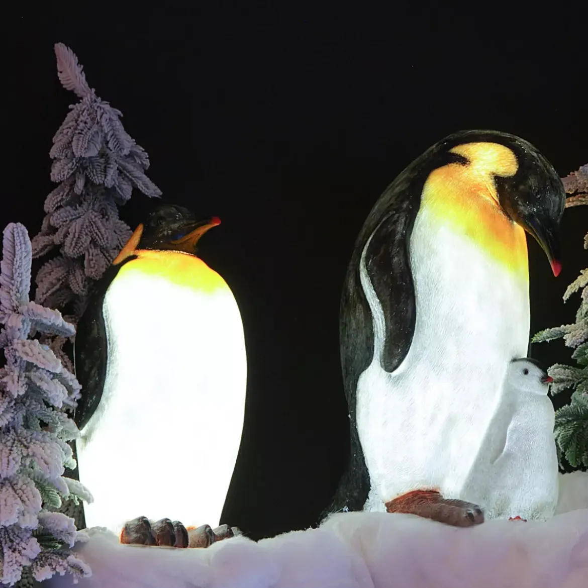 Pinguino luminoso fibra di vetro 8 LED (50 cm) Zélian Bianco freddo