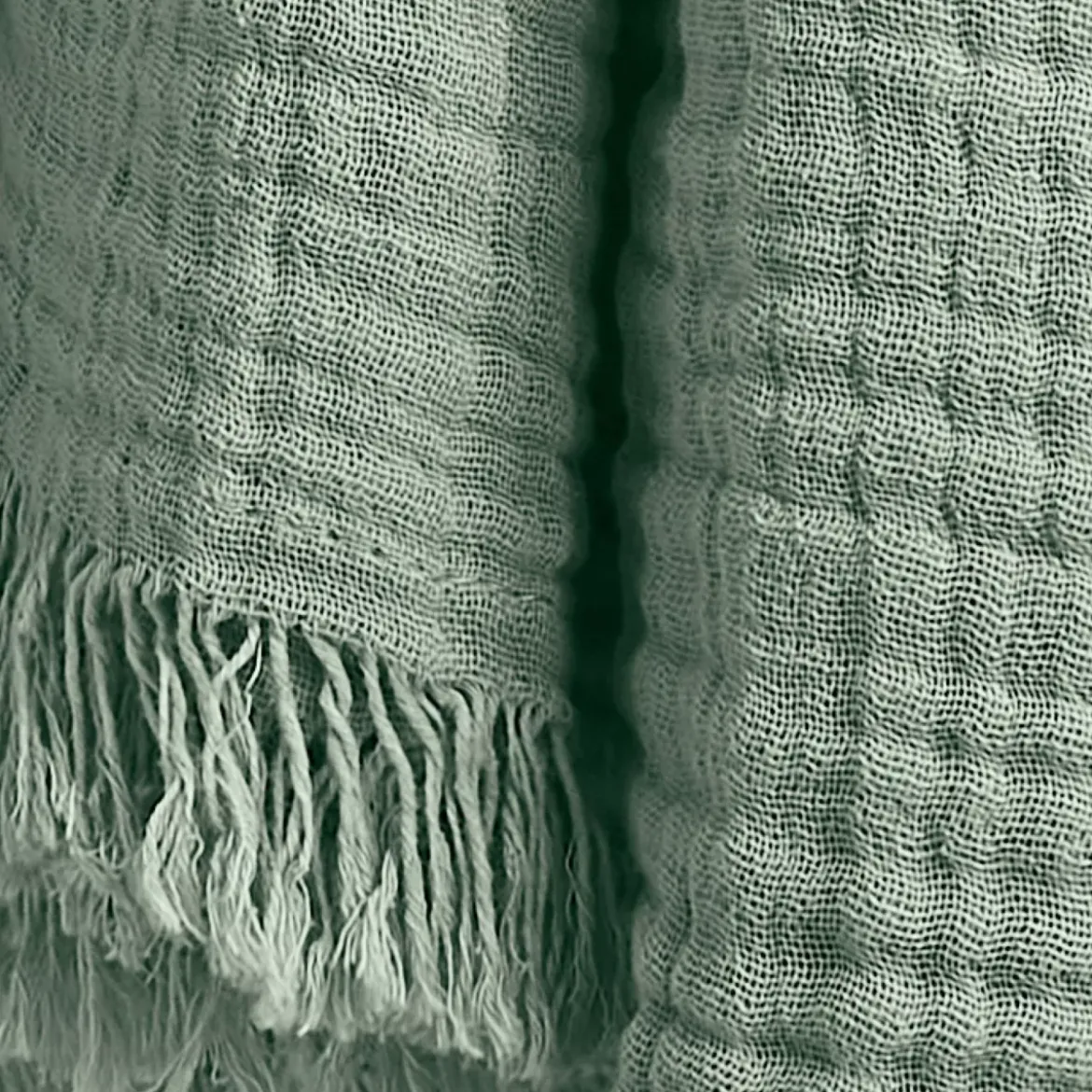 Plaid in garza di cotone (130 x 160 cm) Gaïa Verde eucalipto