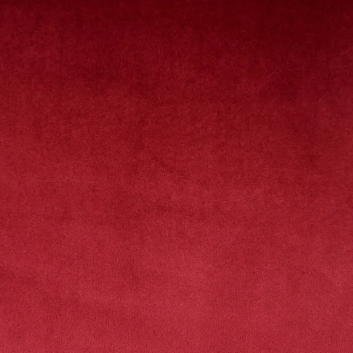 Set di 2 sedie da pranzo in velluto (seduta 47 cm) Juno Rosso
